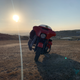 Image for article titled Harley-Davidson's 131-Cubic-Inch Crate Motor Turns A Street Glide Special Into A Caricature Of Itself